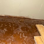 Water Damage jobs