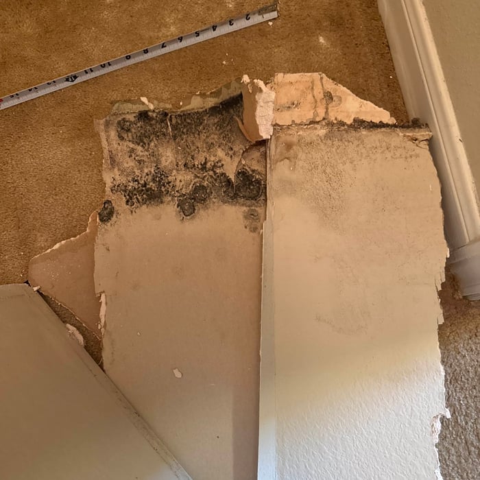 Water Damage jobs