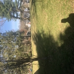 Finished backyard