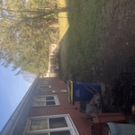 Finished Backyard