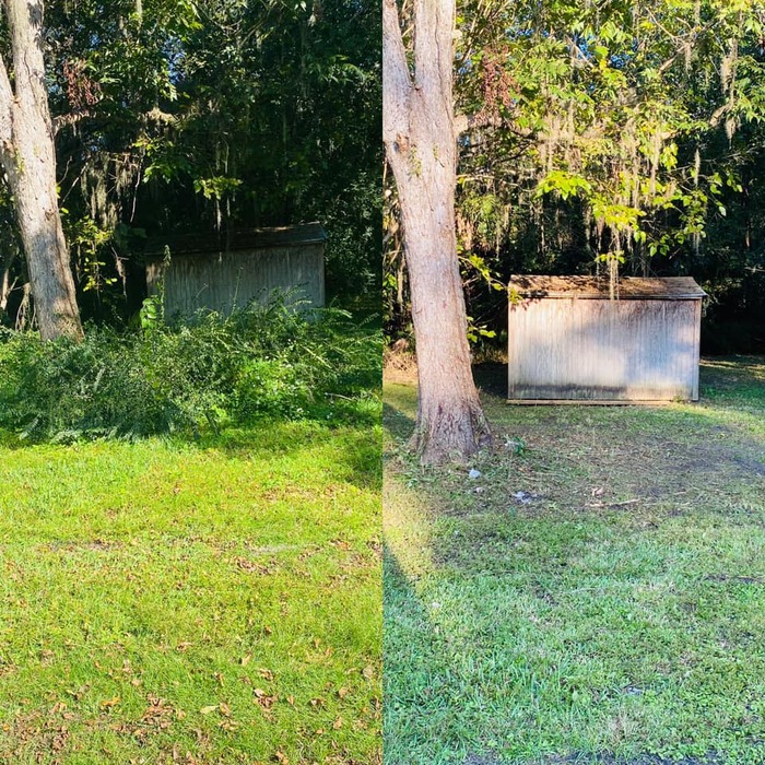 Trimming trees