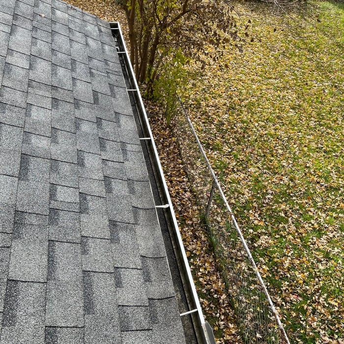 Gutter Cleaning