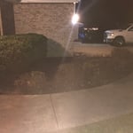 Flower bed