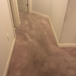 Carpet Cleaning