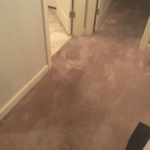 Carpet Cleaning