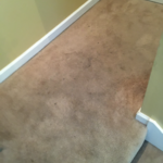 Carpet Cleaning