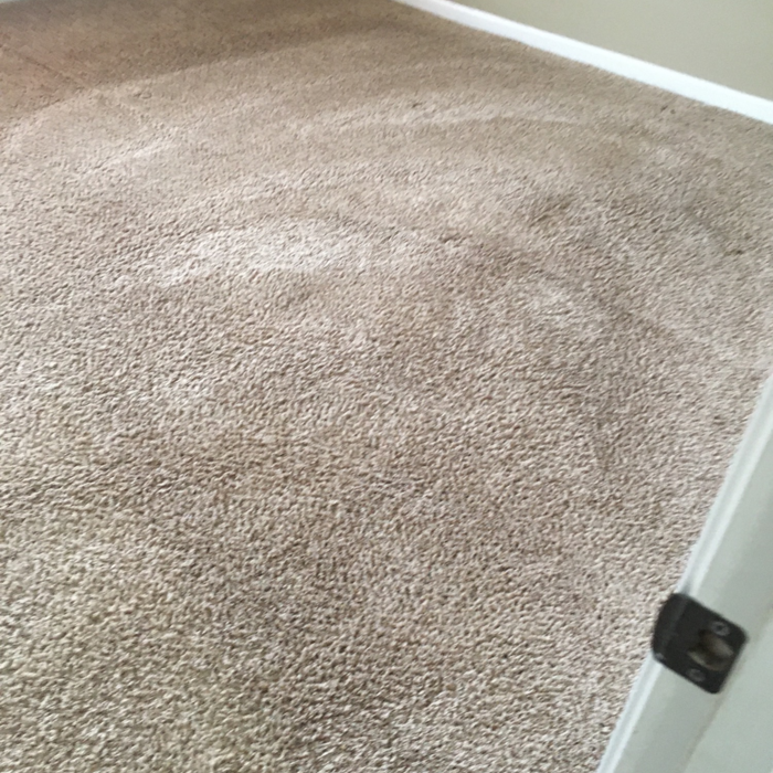 Carpet Cleaning