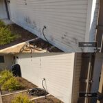 Algae Stains on Siding
