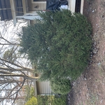 Decortative Stone Install
