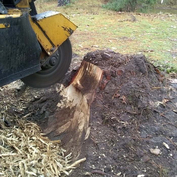3 mid project