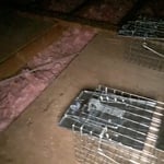 Wildlife Trapping, Animal