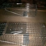 Wildlife Trapping, Animal