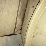 Water & Mold Damage to the Lazy Susan