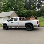 DEMO SOD/ LEVELING GROUND