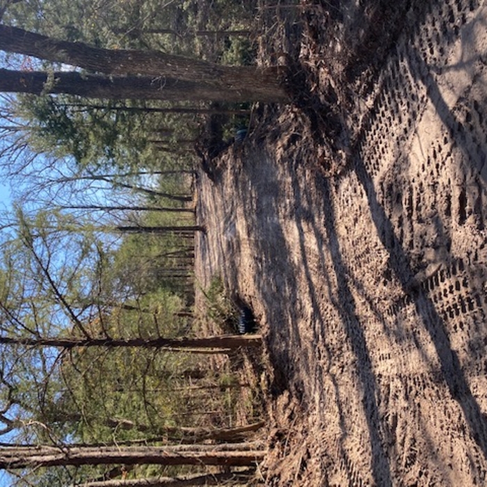 DRIVEWAY PREP