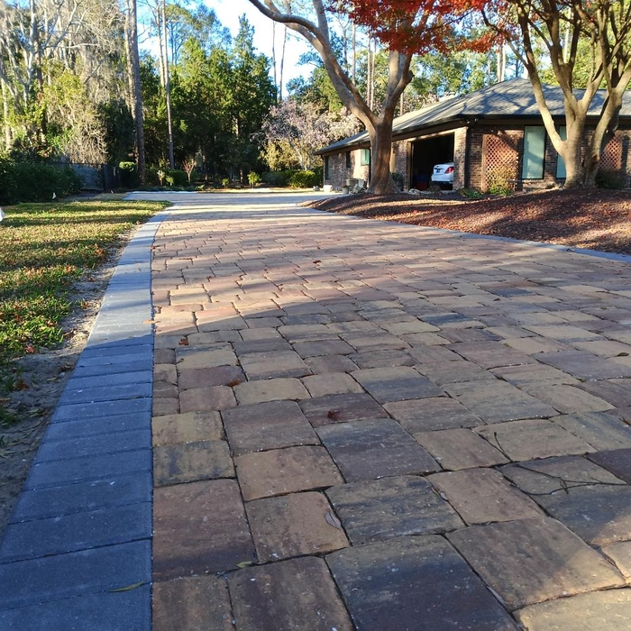 Driveway and Backyard