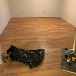Downstairs After