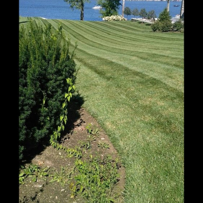Our work