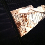 Bedbugs on Mattress Tag