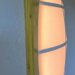 Side view.