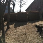 Bermuda Sod - Quantum Sod