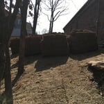 Bermuda Sod - Quantum Sod