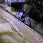 Mold in Crawlspace