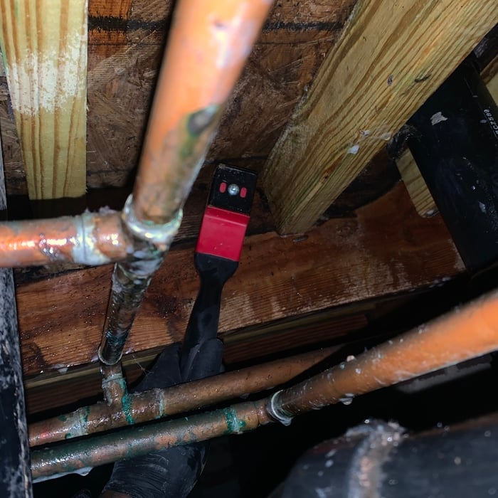 Wire Brush mold Removal