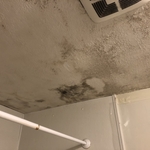 Mold Remediation- Before