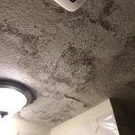 Mold Remediation- Before