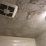 Mold Remediation- Before