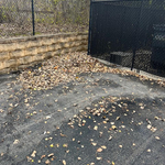 Our Work