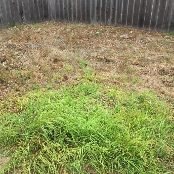 Seaside Mulch