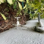 Old water shut off valve