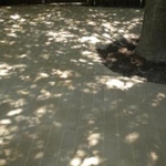 Photo Gallery 2
