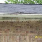 Squirrel Damage