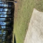 fall cleanup