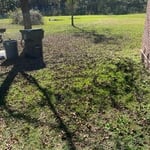 fall cleanup