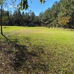 fall cleanup