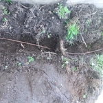 Grounding