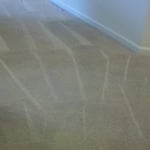 Our work