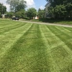 Classic Lawn Cut