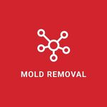Mold Removal