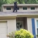 Roof Power Washing