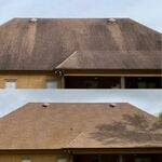 Before and after Roof Cleaning