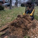 Stump grinding