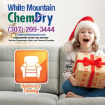 Upholstery Cleaning