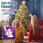 Carpet Cleaning Professionals