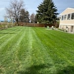 After Back Yard