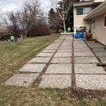 Back Yard Before